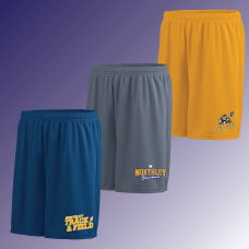 Northley Spring Sports Mesh Shorts